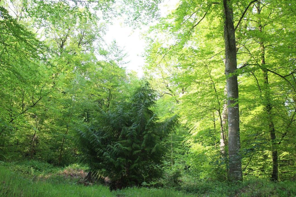 Albert Premier Hotel Bagnoles-de-l'Orne Dış mekan fotoğraf